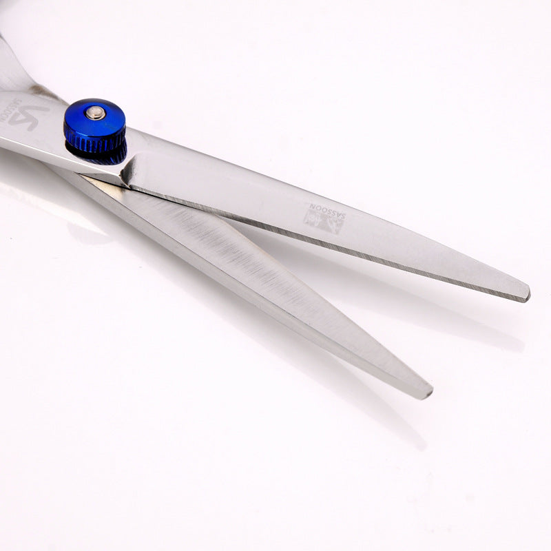 Hair Scissors